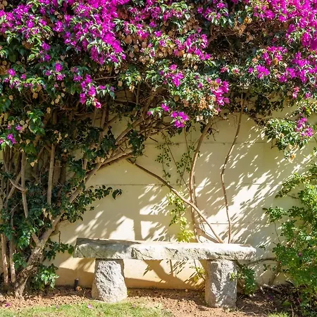 Villa Praia Da Luz 23 By Destination Algarve Alagoas